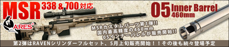 MSR338